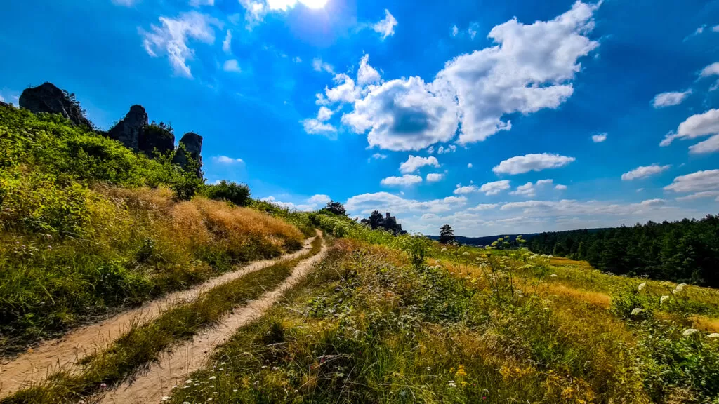 jura krakowsko-częstochowska skały