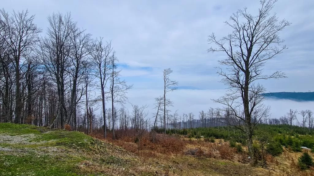 Szyndzielnia Bielsko-Biała
