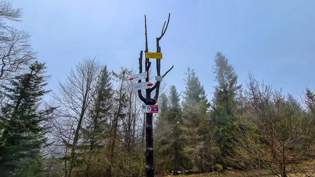 Szyndzielnia Bielsko-Biała