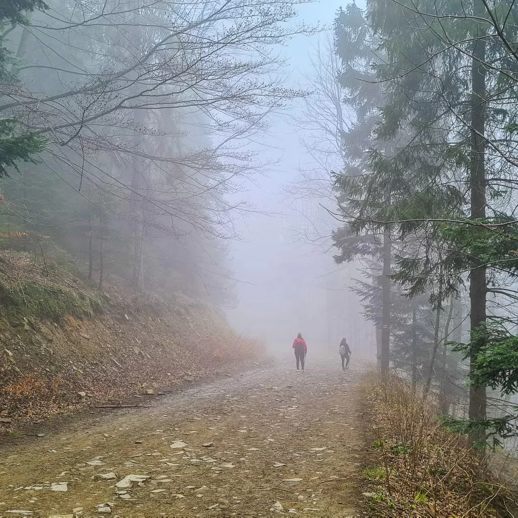 Szyndzielnia Bielsko-Biała