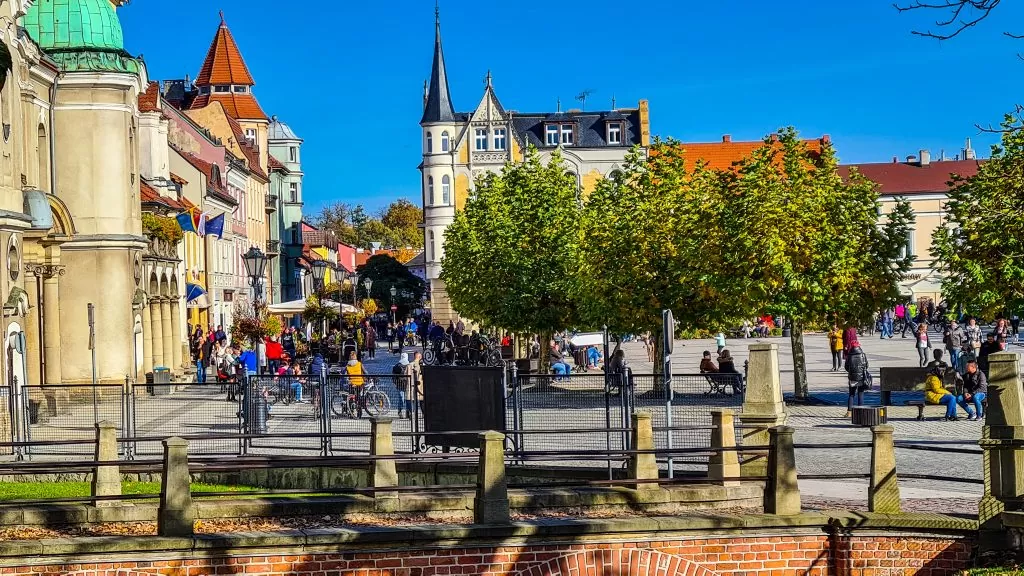 Pszczyna rynek