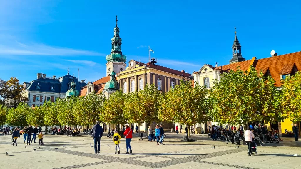 Pszczyna rynek