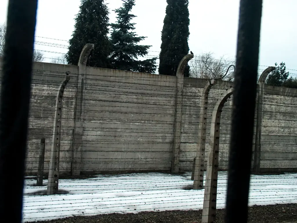 widok z okna w Auschwitz-Birkenau I na ogrodzenia