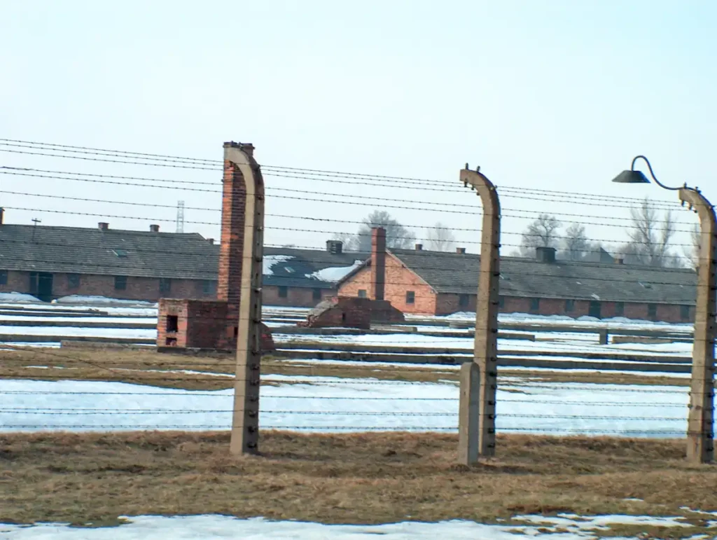 Auschwitz II – Birkenau płat z drutu kolczastego