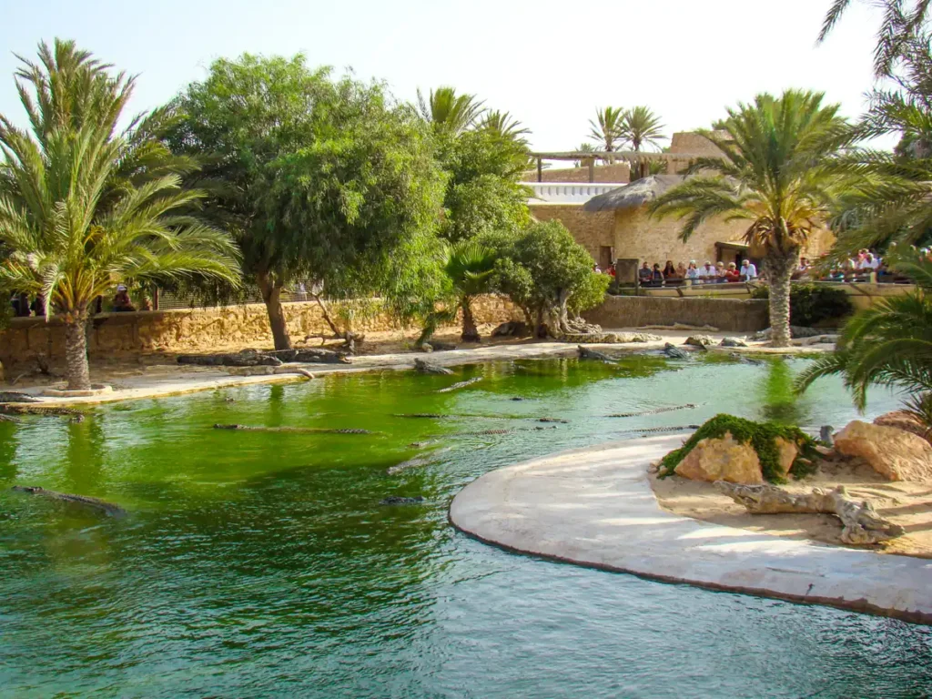 park z krokodylami w Tunezji
