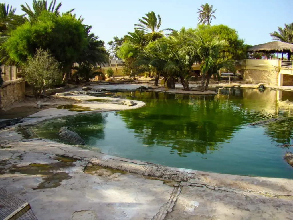 Farma krokodyli - Djerba Explore Park