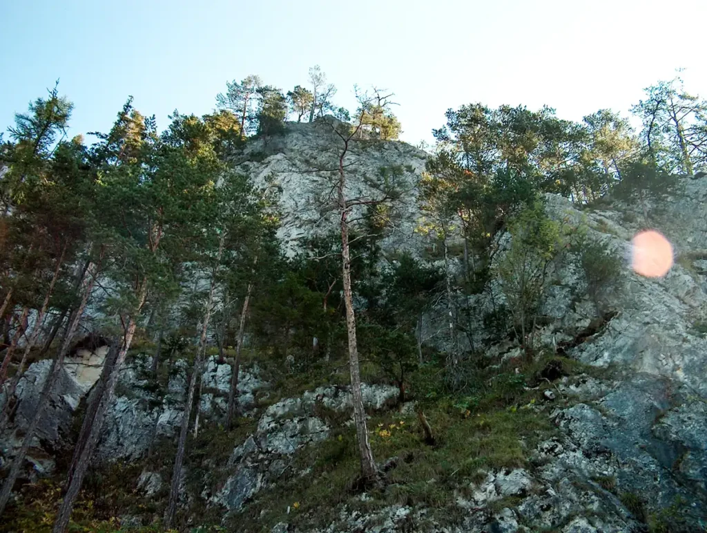 skały i drzewa nad jaskinią