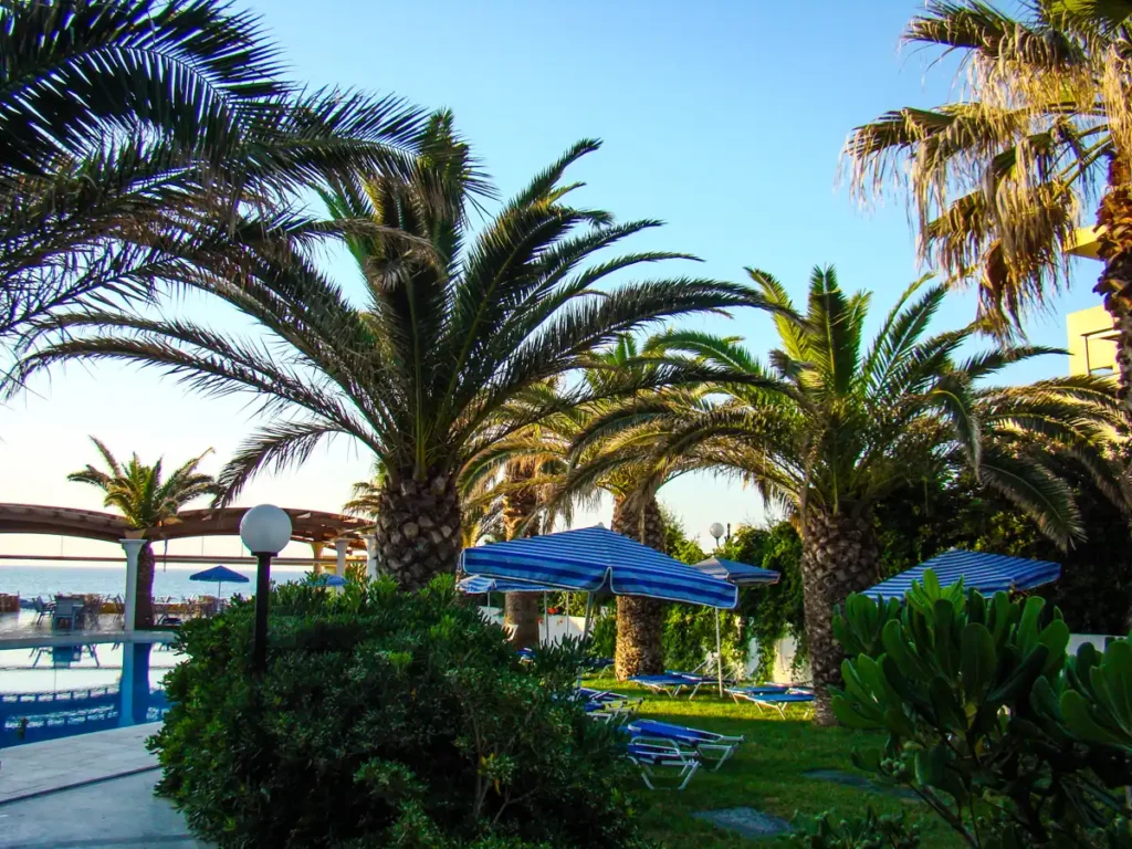 Hotel Eva Bay palmy przy basenie