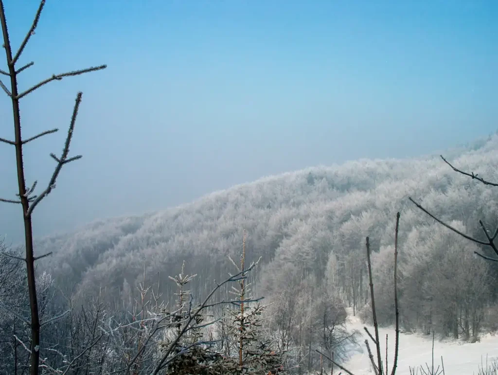 Ustroń Jaszowiec widok na Beskid Śląski zimą