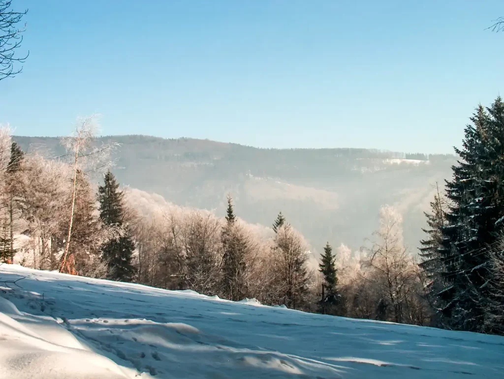 Widok z Równicy na Beskid Śląski zimą